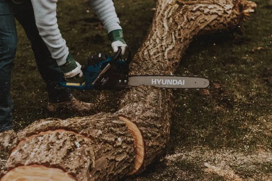 Side view of unrecognizable male sawing long thick log with electric chainsaw on grassy lawn in suburb area of countryside